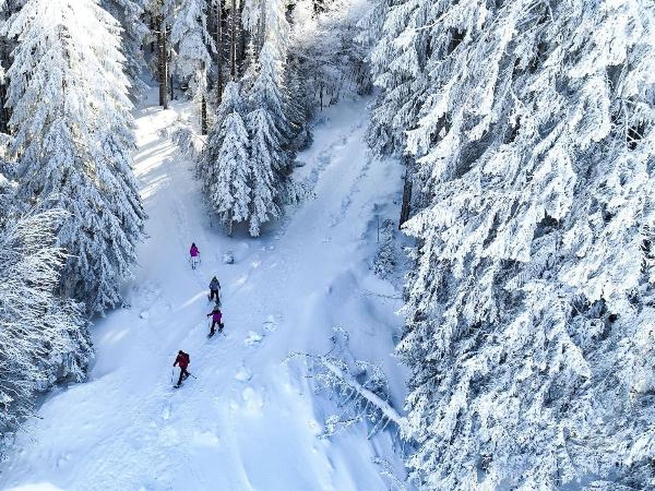 8 Tage am Titisee im Schwarzwald