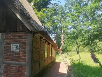 Bild 31 von 32