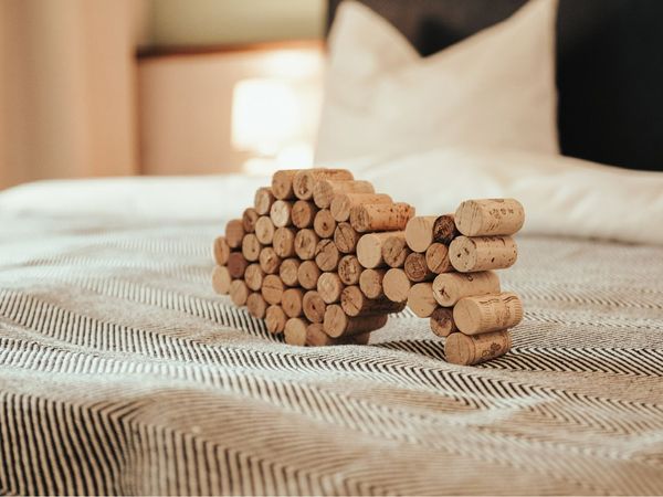 7 Tage Natur pur an der Nordsee! - 7 Nächte in Tönning, Schleswig-Holstein inkl. Frühstück