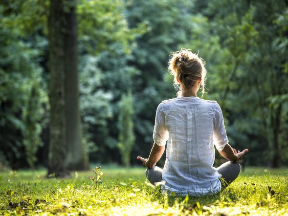 2 Nächte Deal: 3 Tage Gesundheit für die Seele: Waldbaden mal anders