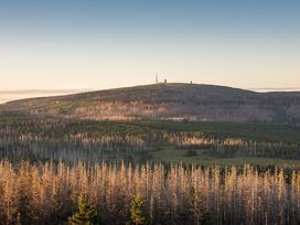 Auszeit im Harz inkl. HP I 6 Tage Kurz-Mal-Natur