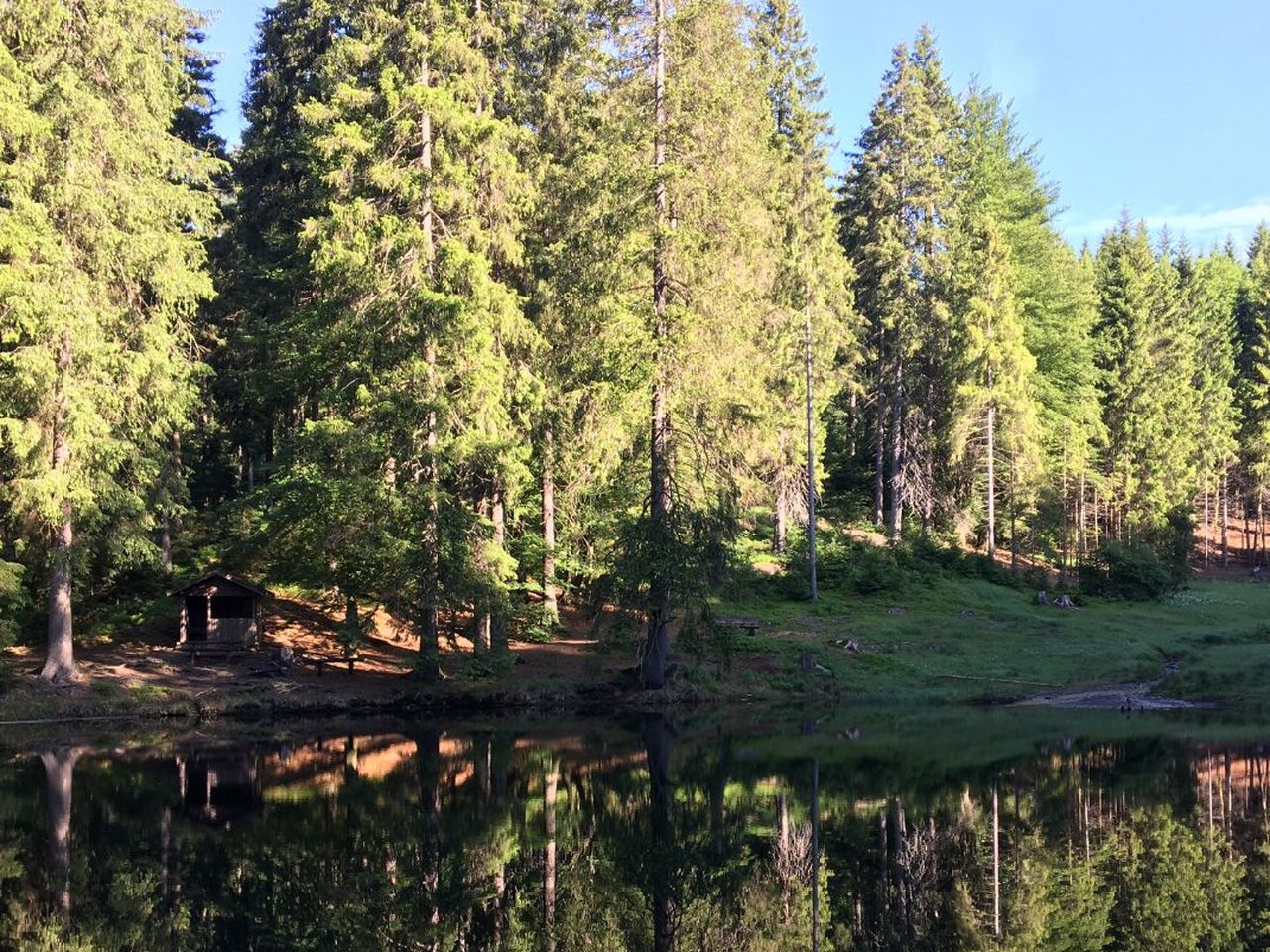 4 Tage Thüringer Wald mit Kneipp-Kräuter-Wanderung