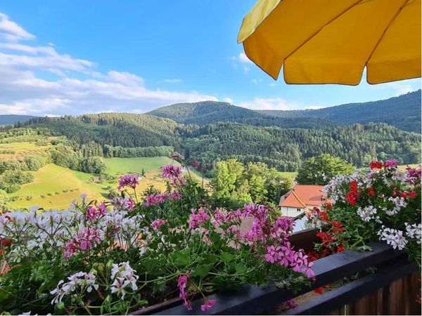 8 Tage Naturerlebnis im Schwarzwald mit Blick ins Tal in Bad Peterstal, Baden-Württemberg inkl. Frühstück