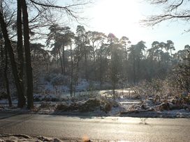 3 Tage Waldhotel in Brabant – Ruhe & Natur erleben