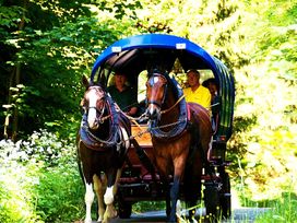 3 Tage Erholung in der Natur des Erzgebirges