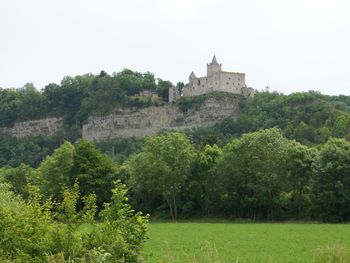 3 Genießer-Tage am Geiseltalsee in der Weinregion Saale-Unstrut inkl. Halbpension