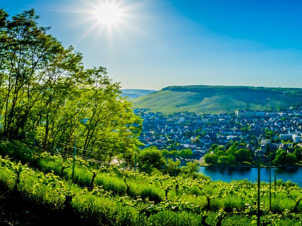 5 Tage am Rhein im Schloss-Hotel Petry mit HP in Treis-Karden, Rheinland-Pfalz inkl. Halbpension