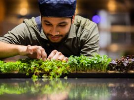 7 Tage Urlaub im Herzen von Arnheim