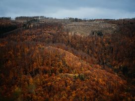 4 Tage im Harz - Unser Winterdeal in Bad Harzburg