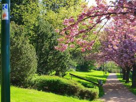 3 Tage Aktivurlaub - Gravelbiken/Radfahren im Wiedtal