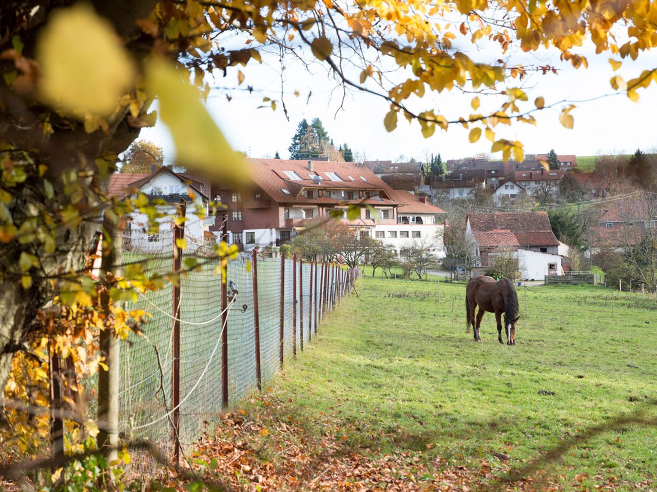 4 Tage für Naturgenießer im Schwarzwald mit HP