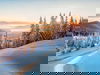 5 Tage Winterzauber im Schwarzwaldhof