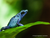 Tierpark und Tropen Aquarium Hagenbeck in Hamburg mit Hotel