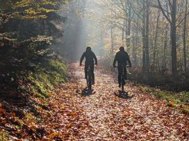 Wanderurlaub Pfälzerwald inkl. Halbpension | 5 Tage