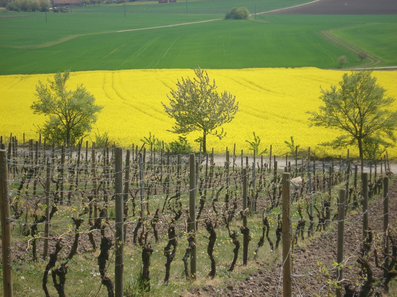 Wandern in Mittelfranken: Hans-Meyer-Geburtstagsweg