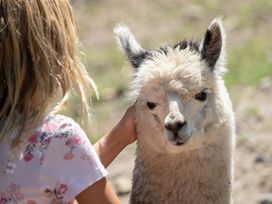 Serengeti Park Hodenhagen mit Hotel