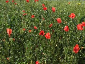 2 Tage im Vital Hotel An Der Therme in Bad Windsheim