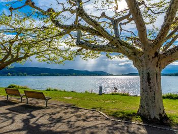 Adventszauber am Bodensee