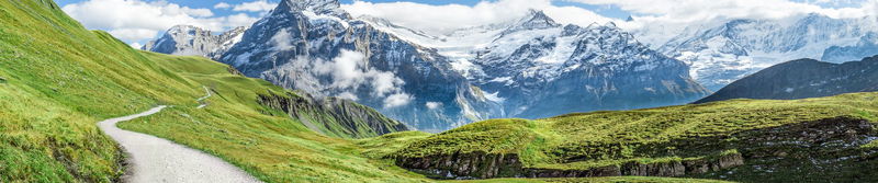 Wanderweg schlängelt sich durch grüne Bergwiesen vor schneebedeckten Gipfeln