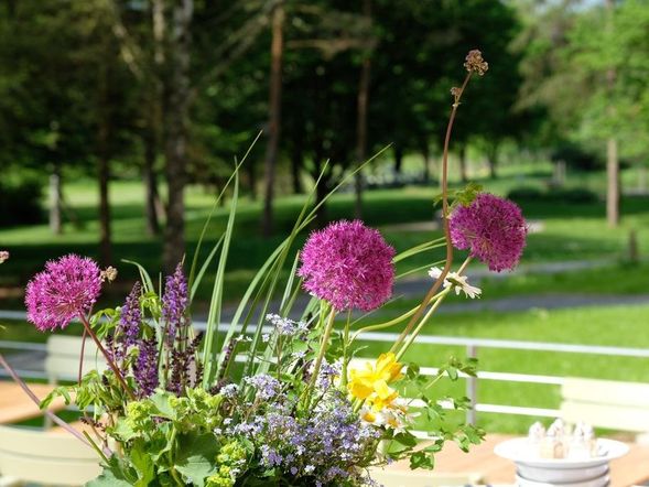 4 Tage Auszeit in der Rhön - Entspannen im Bio Hotel