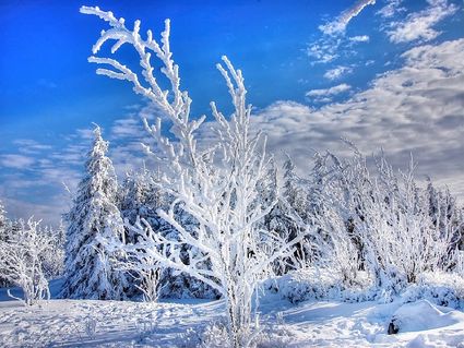 Wintertage in Halberstadt inkl. Dom & Kino (3 Tage)