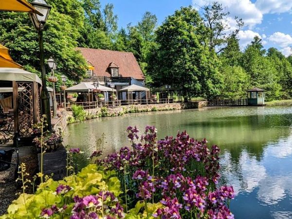 Erholung pur- 2 Tage im Silberbachtal im Teutoburger Wald in Horn-Bad Meinberg, Nordrhein-Westfalen Frühstück