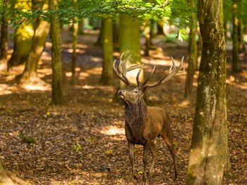 2 abenteuerliche Tage in der Natur