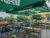 Eine Kahnfahrt die ist lustig - 3 Tage im Spreewald