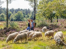 Niederlande: 3 Tage-Angebot Hansestadt Harderwijk auf der Veluwe