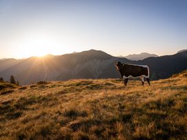 Weekend-Trip BERGE HAUTNAH inkl. Abendessen