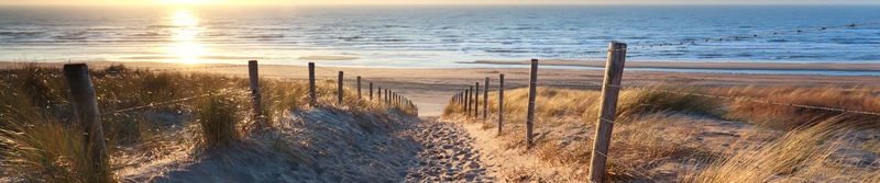 Sandweg durch die Dünen zum Nordseestrand im Abendlicht