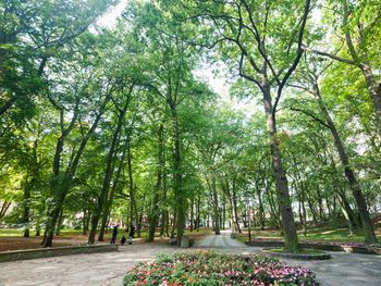 Ab Sonntag 6 Tage Ostsee und Kolberg erleben