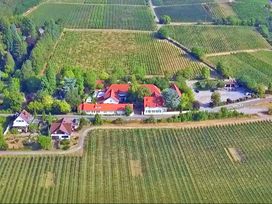 Romantik im Weingut: 