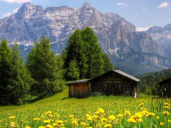 Auszeit im Naturparadies Kärnten - 5 Nächte