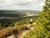 4 Tage Fahrradurlaub in Braunlage im Harz, ob Downhill, MTB, Gravel oder Rennrad.