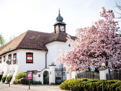 Hotel Schloss Leonstain