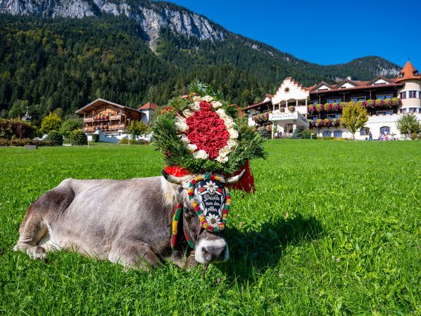 4 Tage Almabtriebs Woche in Söll – 4 Nächte, Tirol inkl. Halbpension