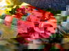 2 Tage Berliner Großstadt Feeling