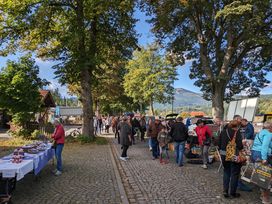 6 Tage Familienzeit im Bayerwald: Naturerlebnisse pur