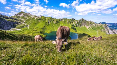 Schrecksee in den Allgäuer Alpen