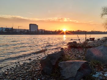 Rheinische Auszeit in Bonn