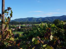 4 Tage zwischen den Weinbergen des Schilcherlandes