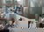 Wellness im Harz inkl. Gourmet-Menü - 3 Tage