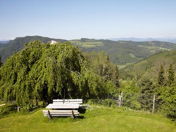 Bild 10 von 14