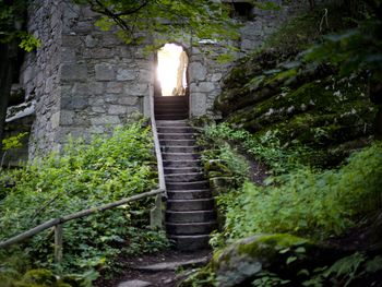 7 = 6 im Fichtelgebirge Special