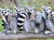 Zoo Rostock Tickets mit Hotel