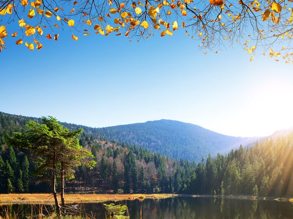 6 Tage im Hotel Ahornhof mit Frühstück in Lindberg, Bayern inkl. Frühstück