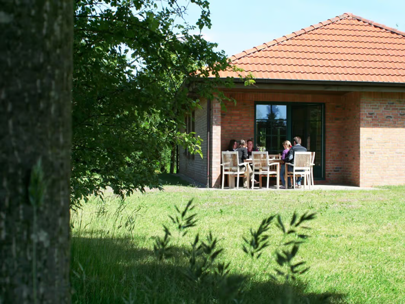Ferienhaus - Fjordpferd