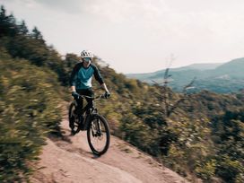 Wanderurlaub Pfälzerwald inkl. Halbpension | 5 Tage