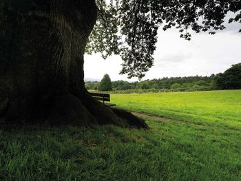 Schwäbische Küche in einladender Atmosphäre - 3 Tage